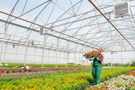 Volcano VR Mini 3 AC